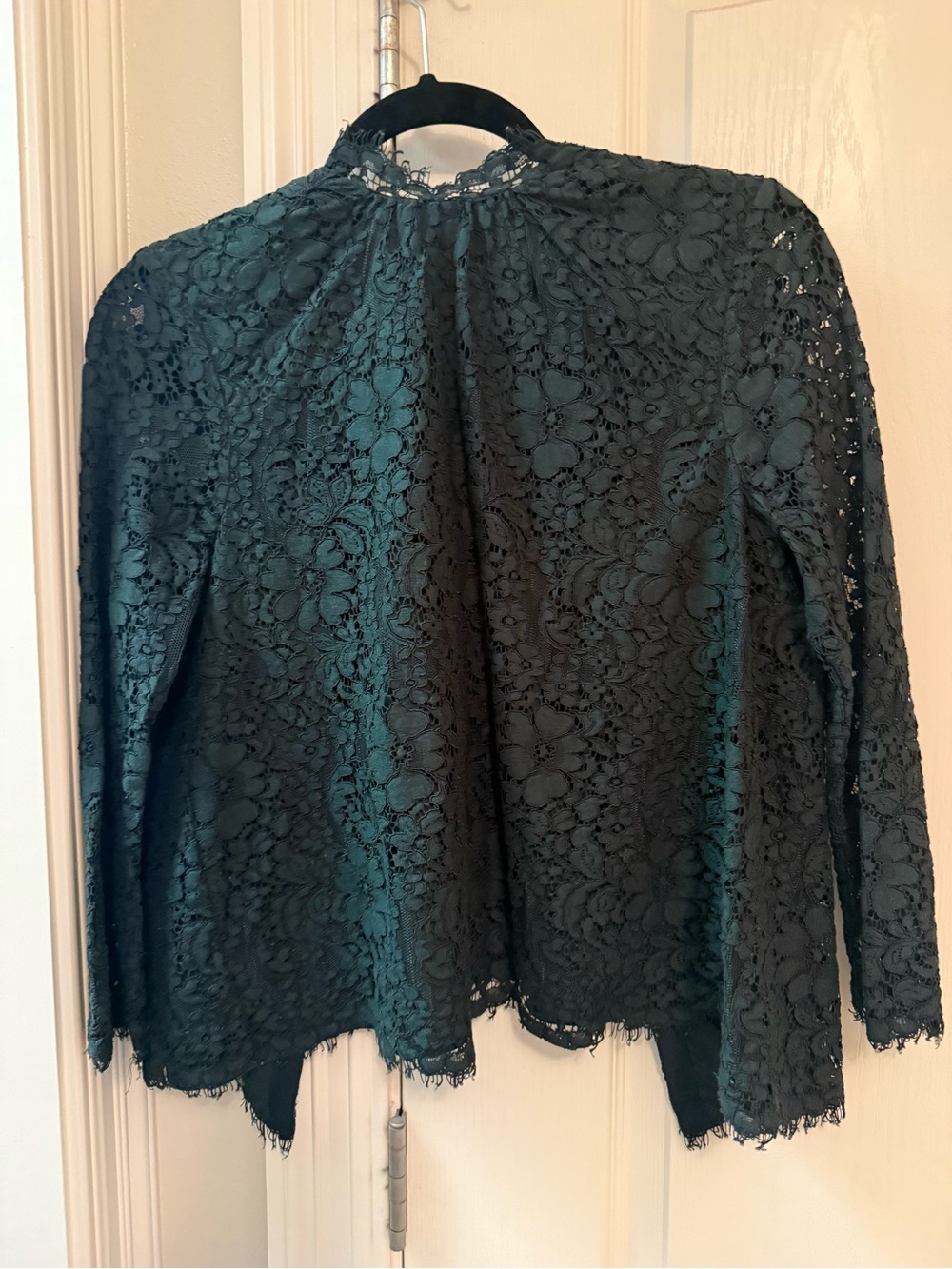 Joie Forest Green Floral Lace Long-Sleeve Blouse XS